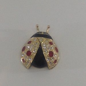Vintage Roman Ladybug Brooch